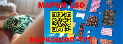 гидропоника Рузаевка