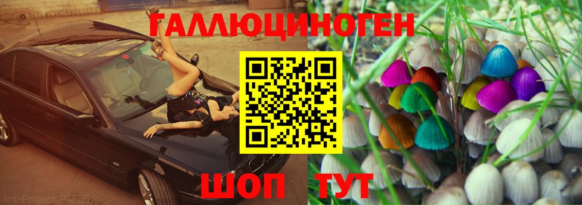 где можно купить   Вход с VPN  Воткинск  Псилоцибиновые грибы Magic Shrooms 